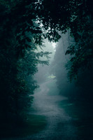 ArkansasFog2022-1