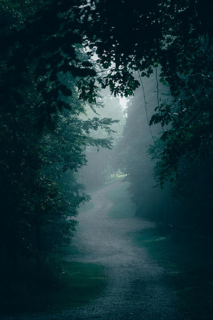 ArkansasFog2022-1