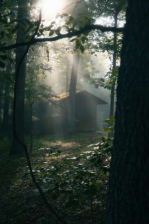 ArkansasFog2022-1