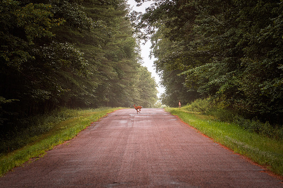 Wisconsin2025-1