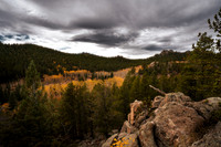 Fall2026GoldenFull-1