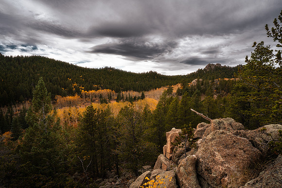 Fall2026GoldenFull-1