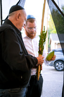 Sukkot2026-8
