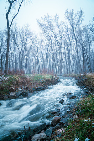 FogLake2024-1-2