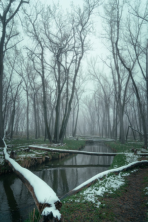Fog2024