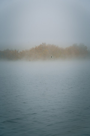 CherryCreekFog2023-1