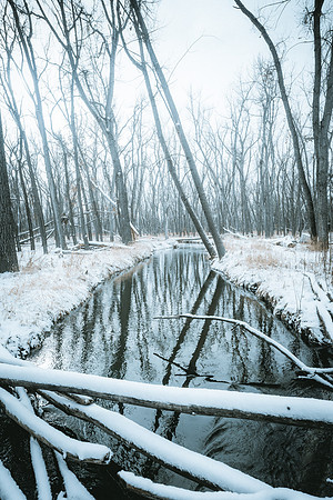 CherryCreekWinter2023-1