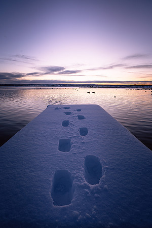 CherryCreekWinter2024-1