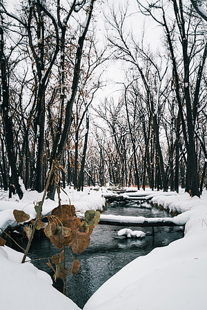 Winter2024-1-4