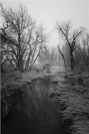 Fog2025-1-5