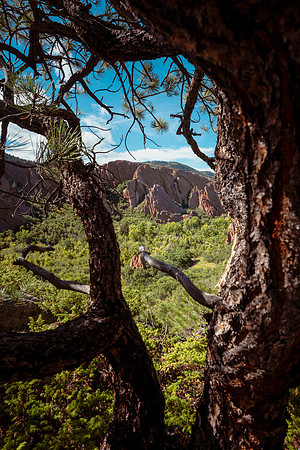 RoxboroughFall-1