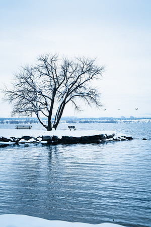 Winter2024-1