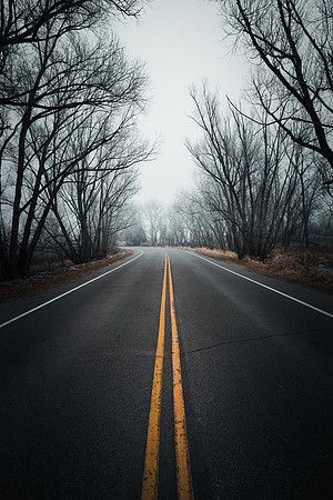 Fog2025-1-4
