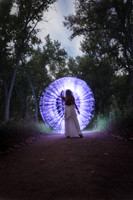 ShelbyLight-1