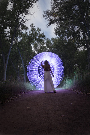 ShelbyLight-1