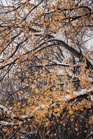 Winter2024-1-2