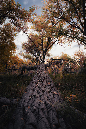 CherryCreekFall2024-1