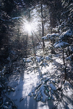 LookoutWinter2025-1-3