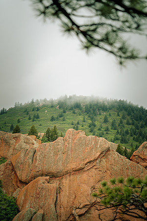 MoodyRoxborough-1